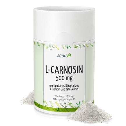 L-Carnosin 500 mg Kapseln 